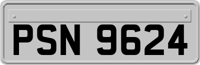 PSN9624
