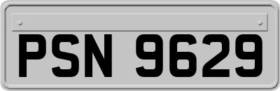 PSN9629