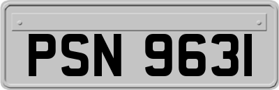 PSN9631