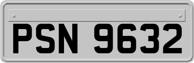 PSN9632