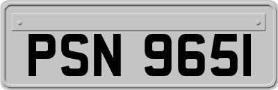 PSN9651