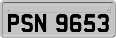 PSN9653