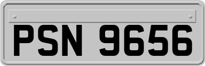 PSN9656