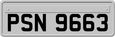 PSN9663