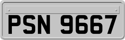 PSN9667