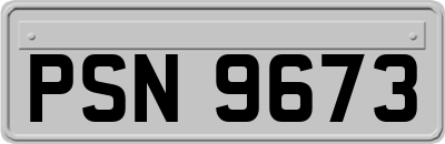 PSN9673
