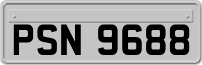 PSN9688