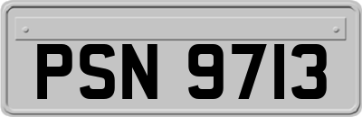 PSN9713