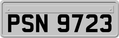 PSN9723