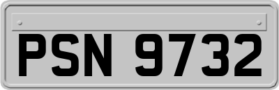 PSN9732