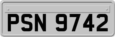 PSN9742