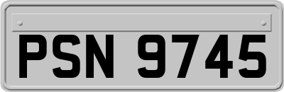 PSN9745