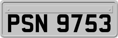 PSN9753