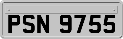 PSN9755