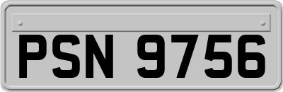 PSN9756