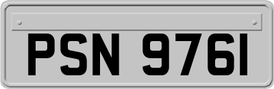 PSN9761