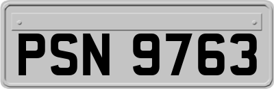 PSN9763