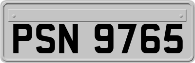PSN9765