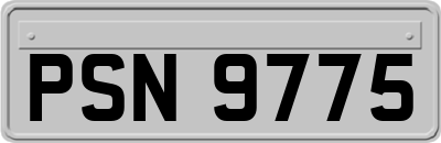 PSN9775