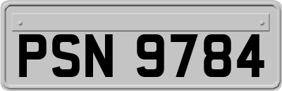 PSN9784