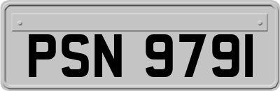 PSN9791