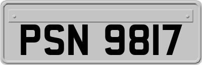 PSN9817