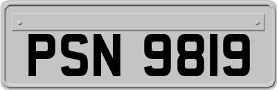 PSN9819