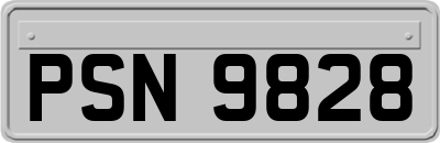 PSN9828
