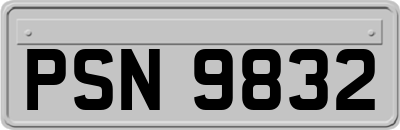 PSN9832