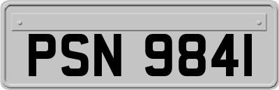 PSN9841
