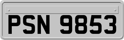 PSN9853