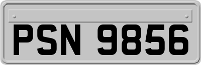 PSN9856
