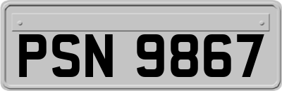 PSN9867