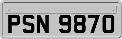 PSN9870