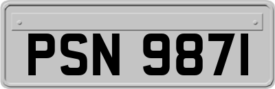 PSN9871