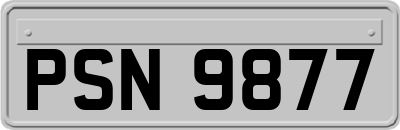 PSN9877