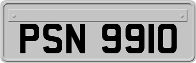 PSN9910