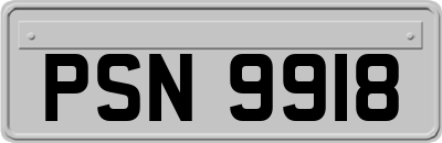 PSN9918
