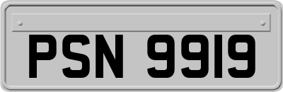 PSN9919
