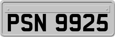 PSN9925
