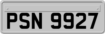 PSN9927