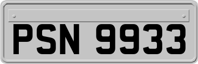 PSN9933