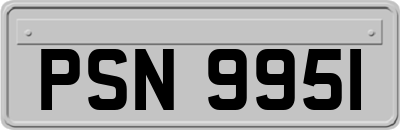 PSN9951