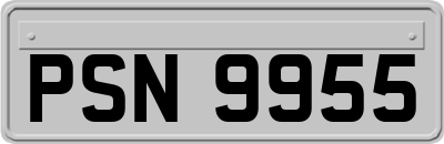 PSN9955