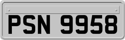 PSN9958