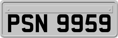 PSN9959