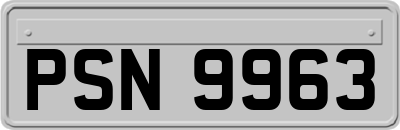 PSN9963