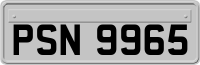 PSN9965