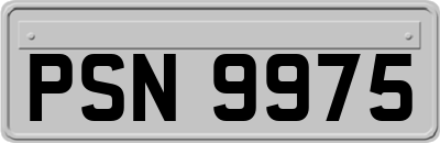 PSN9975
