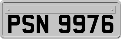 PSN9976